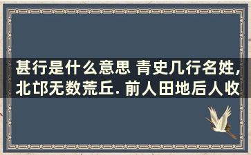 甚行是什么意思 青史几行名姓,北邙无数荒丘. 前人田地后人收,说甚龙争虎斗.这话什么意思